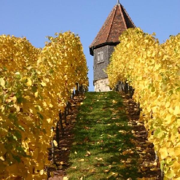 Top of the hill