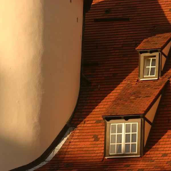 Windows in the roof