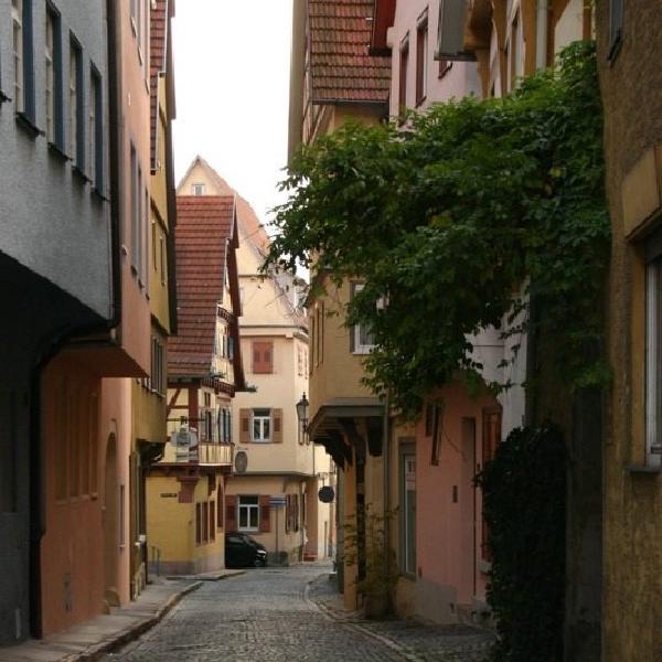 Cobbled street