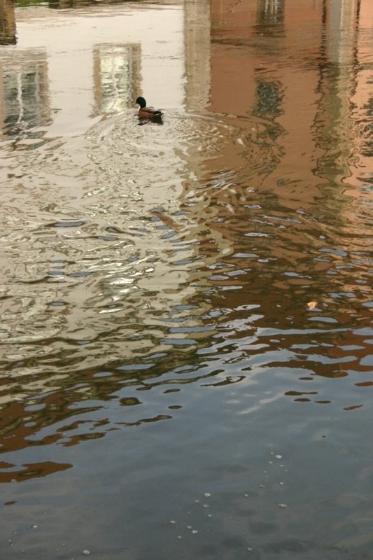 Ducking under the houses
