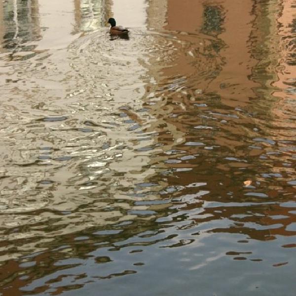 Ducking under the houses