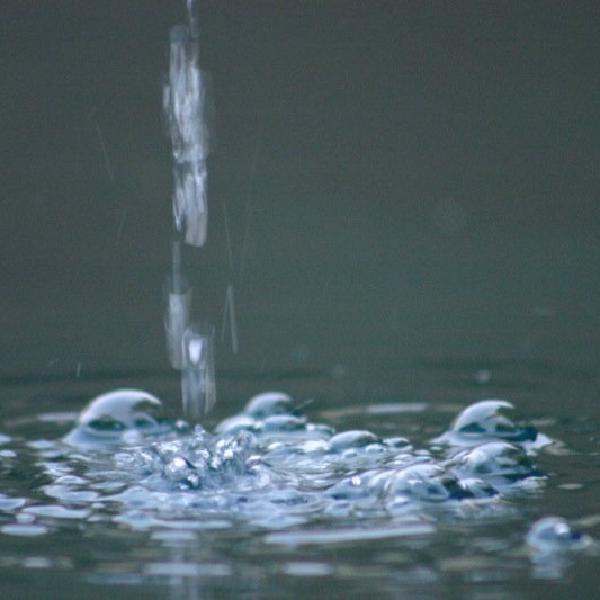 Bubbles