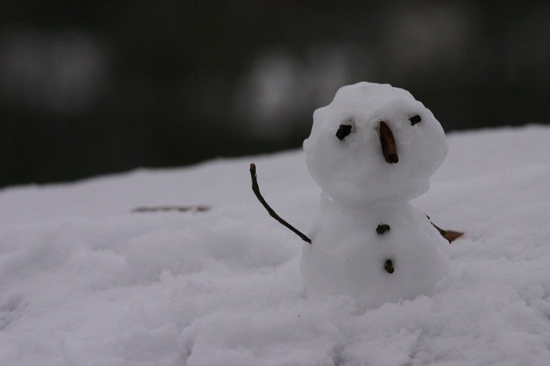 Little snowman
