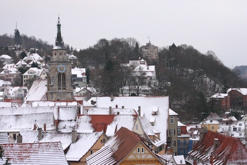 Snowtopped buildings