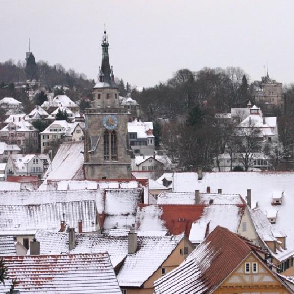 Snowtopped buildings
