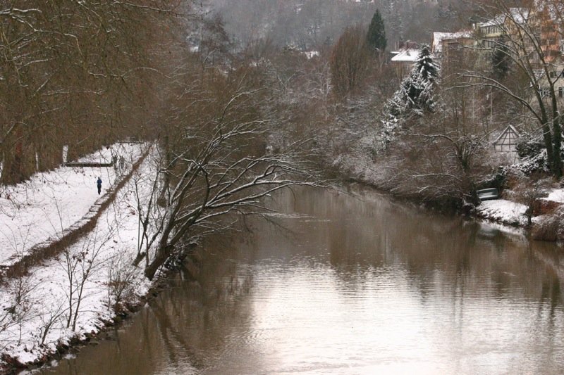 Winter scene