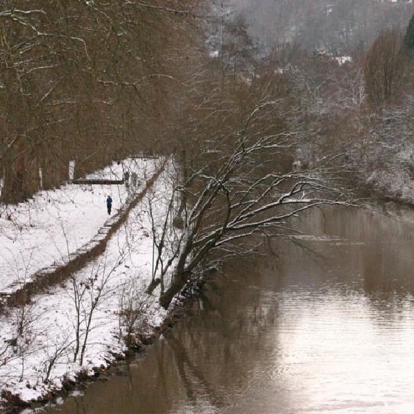 Winter scene