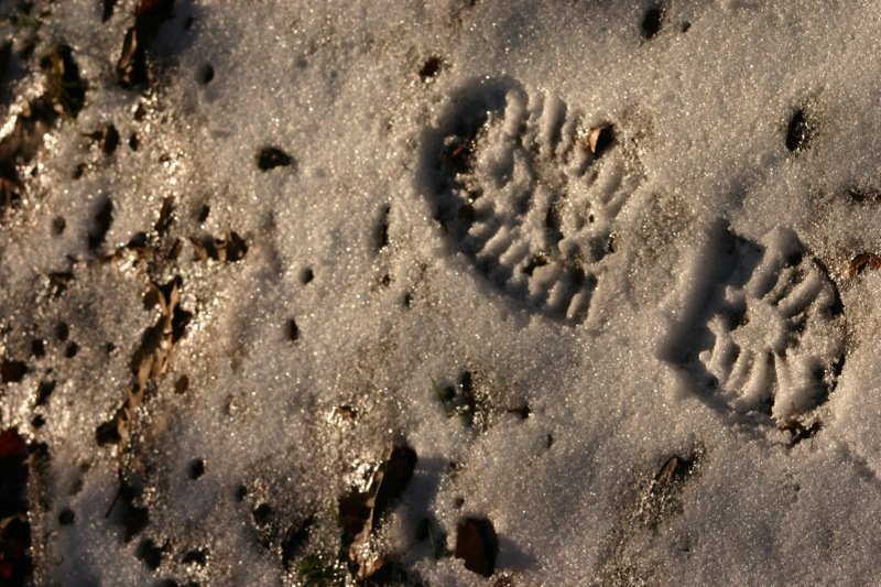 One small step...