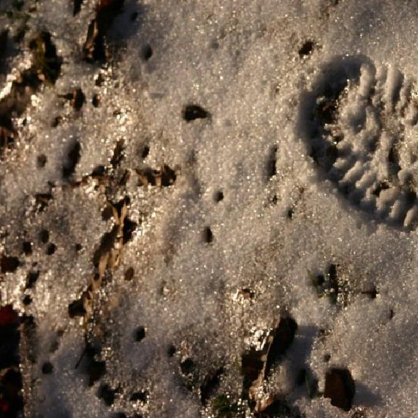 One small step...