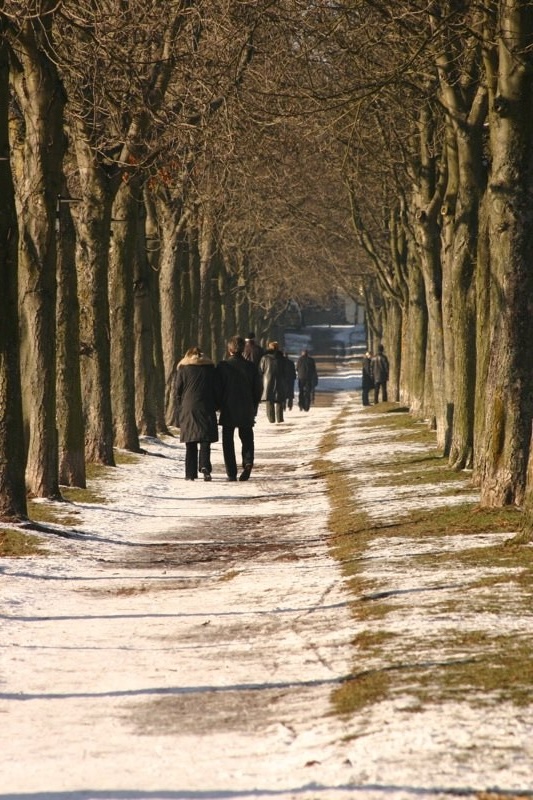 Walking in the snow