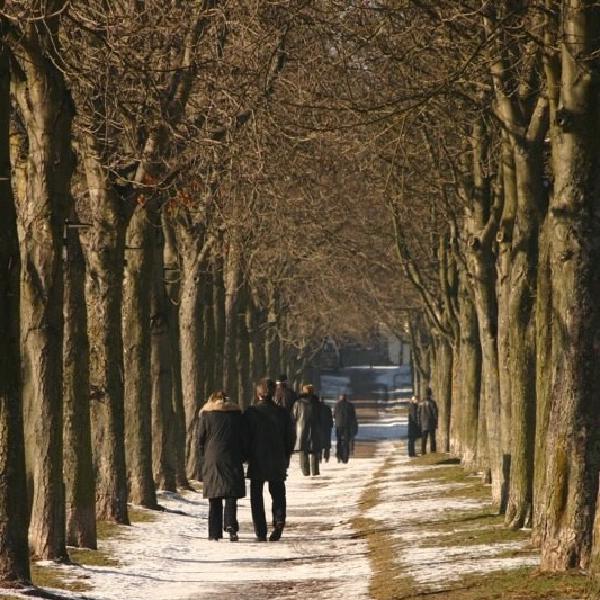 Walking in the snow