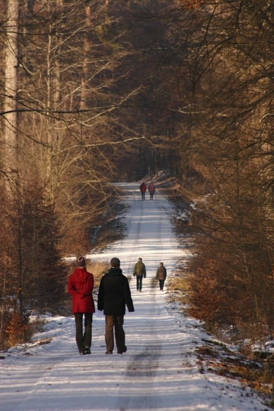 Winter walking