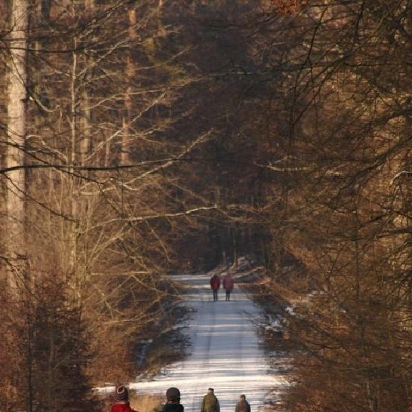 Winter walking