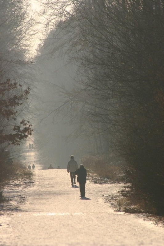 Winter walkway