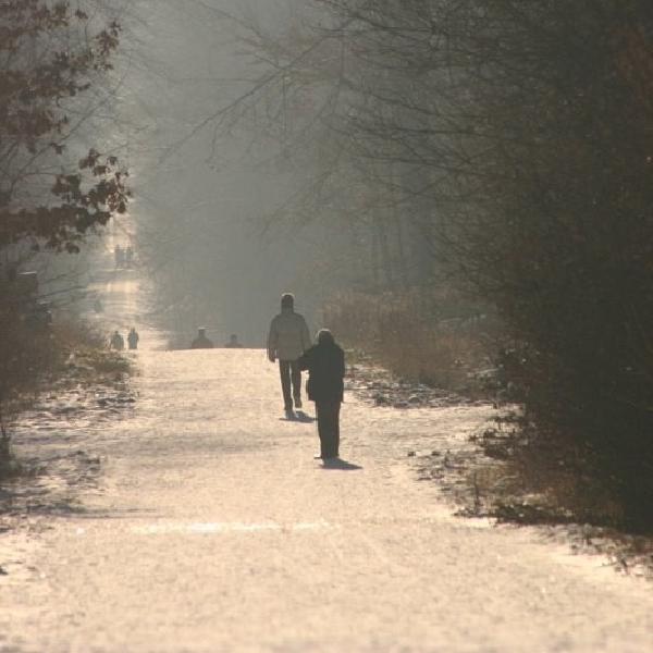 Winter walkway