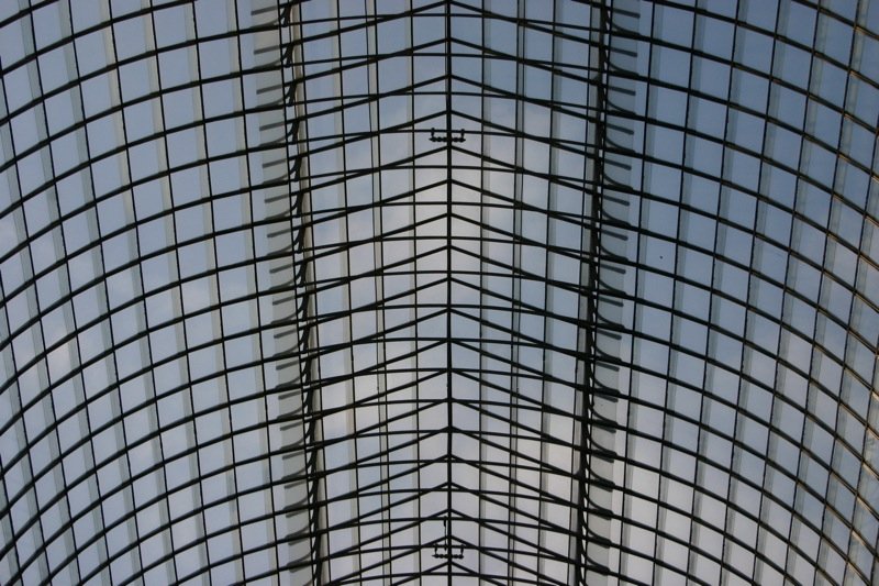 Looking up