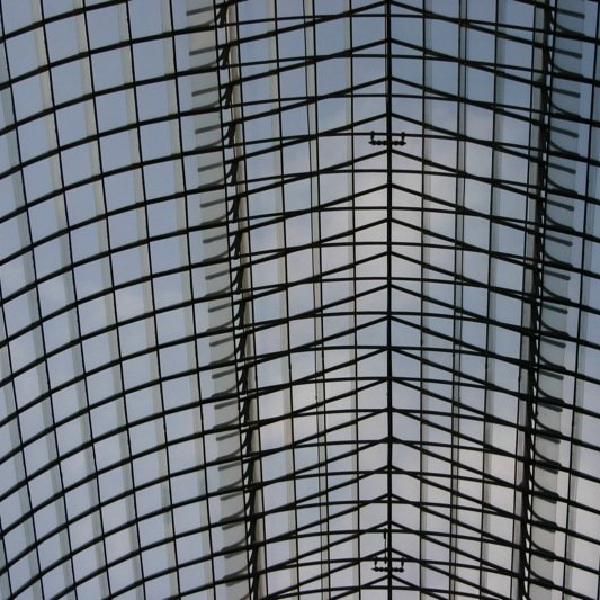 Looking up