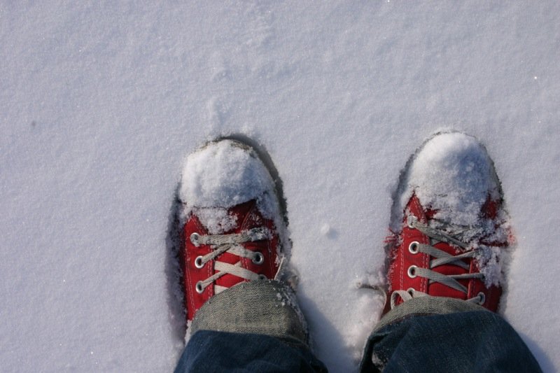 Chucks in the snow