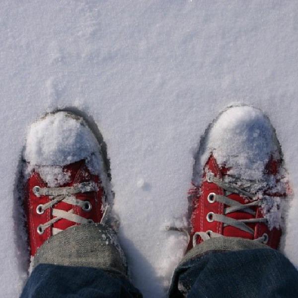 Chucks in the snow