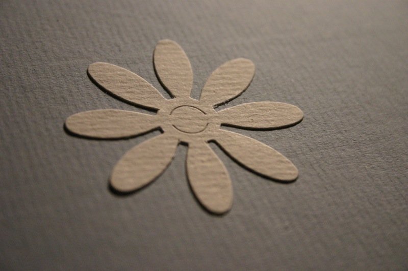 Cute flower