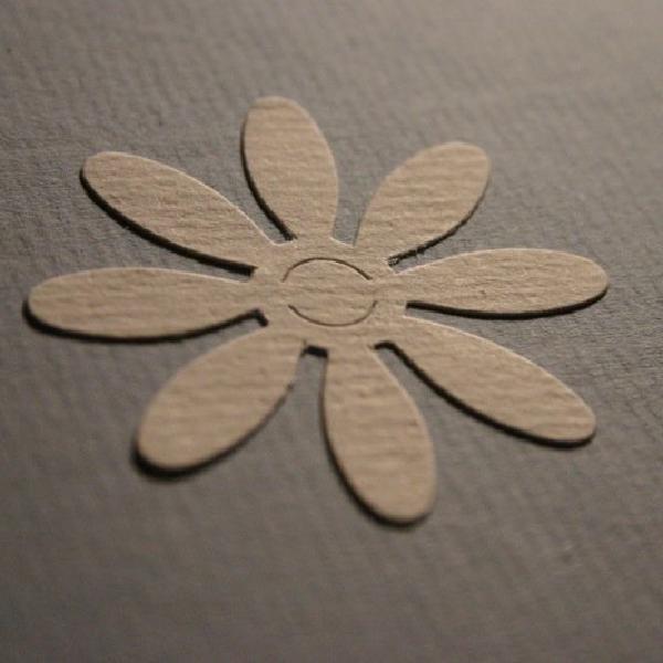 Cute flower