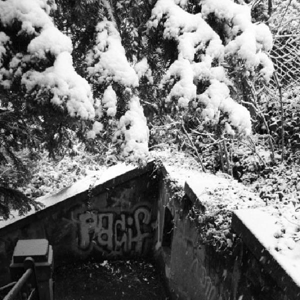 Graffiti on the steps