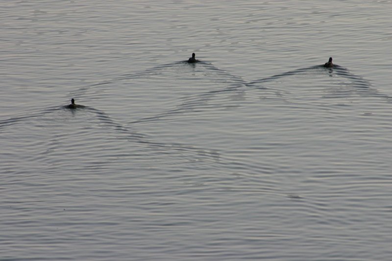 In formation