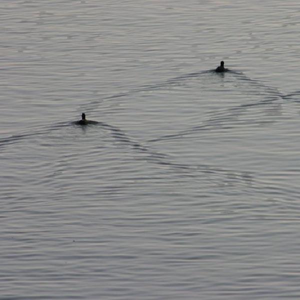 In formation