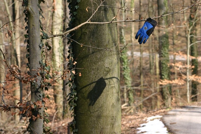 Lost