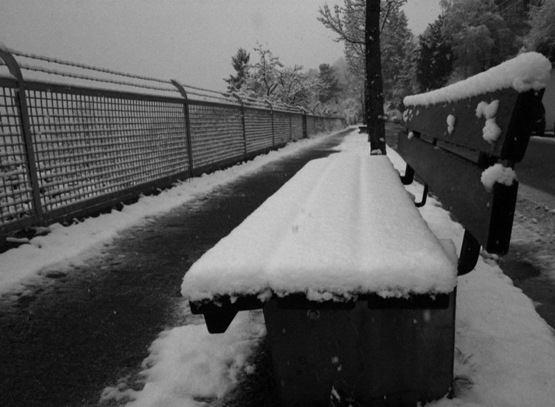 Snowy bench