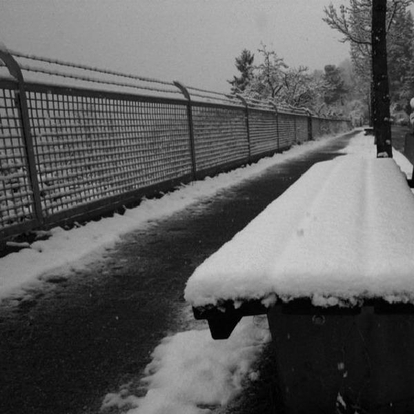 Snowy bench