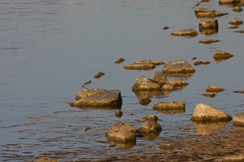 Stones in the Neckar