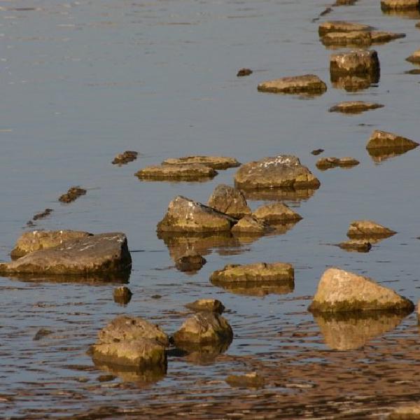 Stones in the Neckar