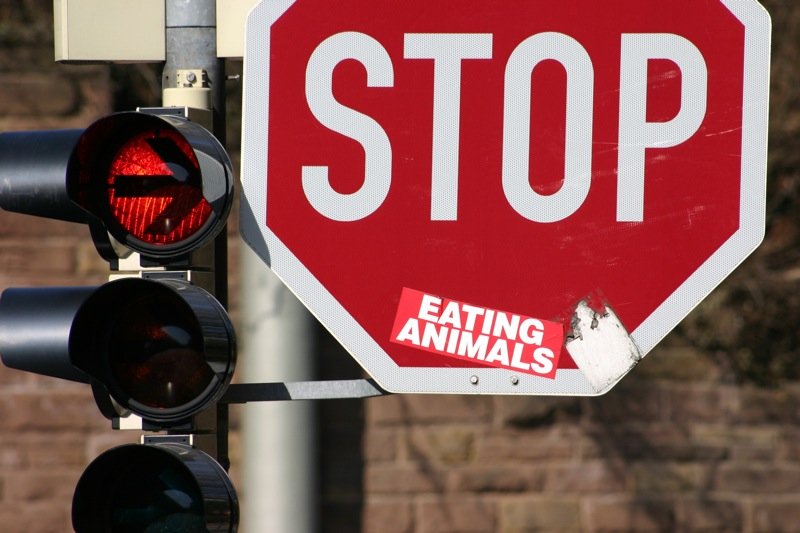Stop eating animals