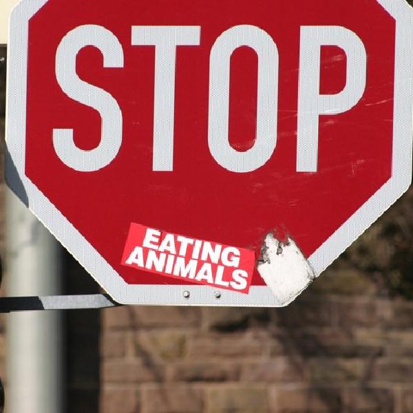 Stop eating animals