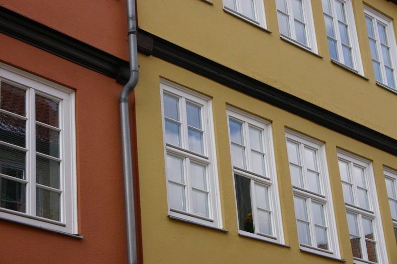 Sunflowers in the window