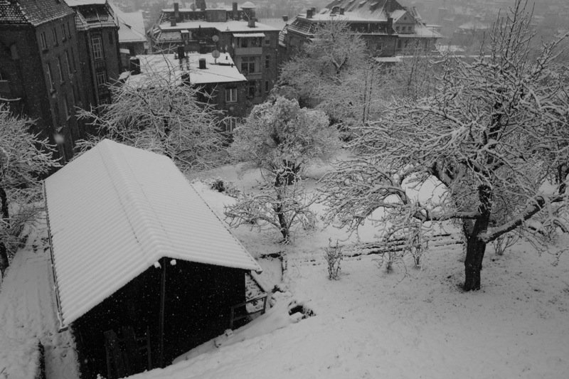 Winter in the city