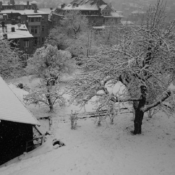 Winter in the city
