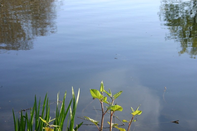 Blue and green