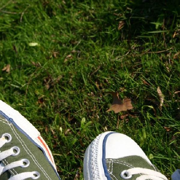 Chucks in the park