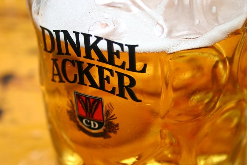 Dinkel Acker
