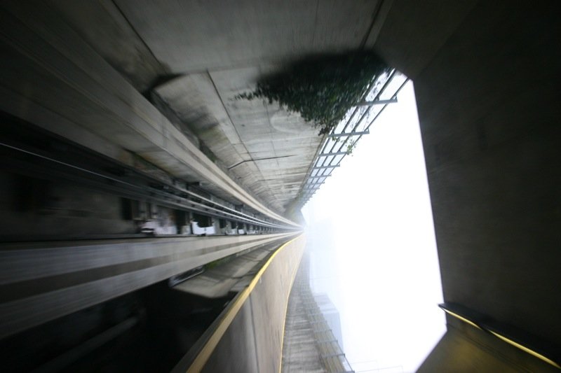 Into the open