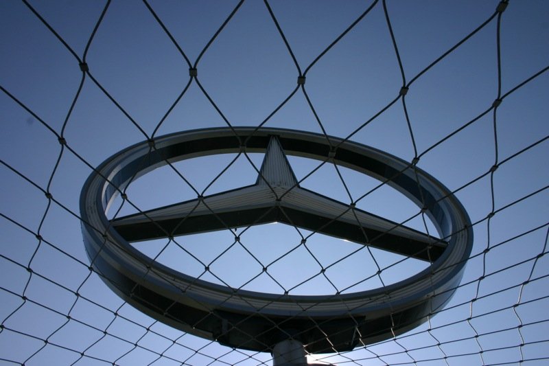 Looking through the net