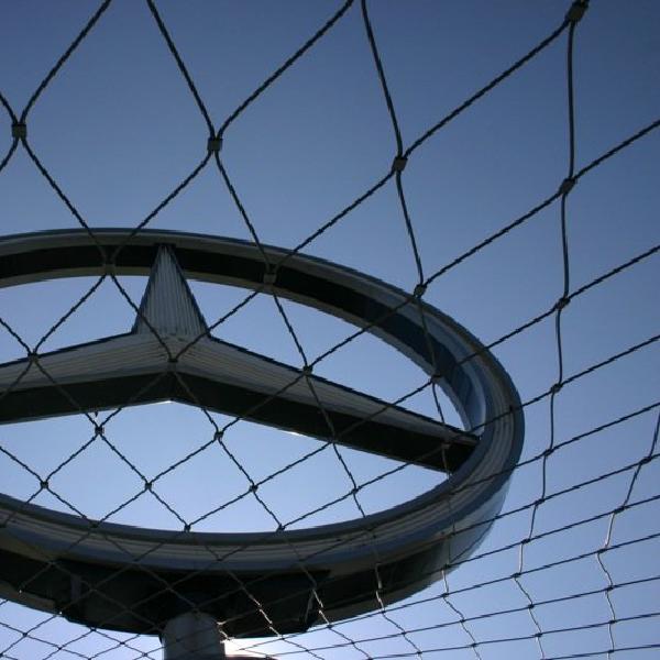 Looking through the net