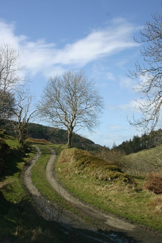 Path to beauty