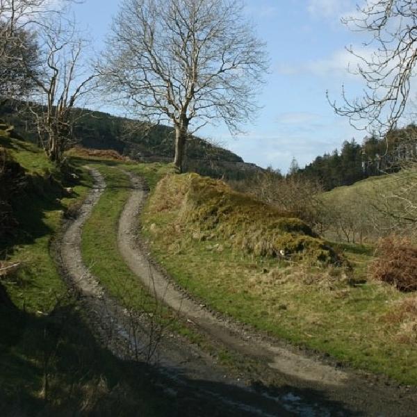 Path to beauty