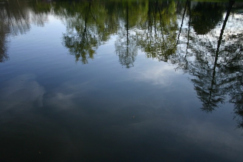 Reflected