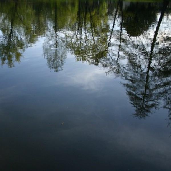 Reflected