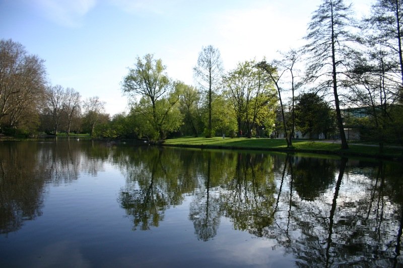 Reflections