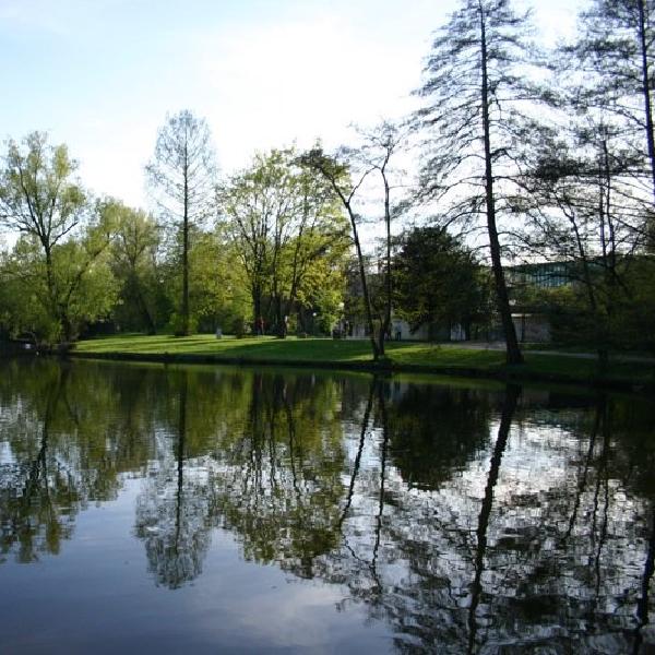 Reflections